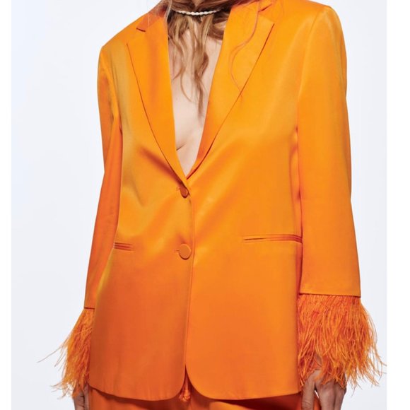 Zara BRAND NEW feather blazer - limited edition - Picture 3 of 7